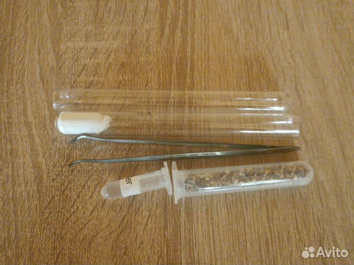 Ферма для муравьев