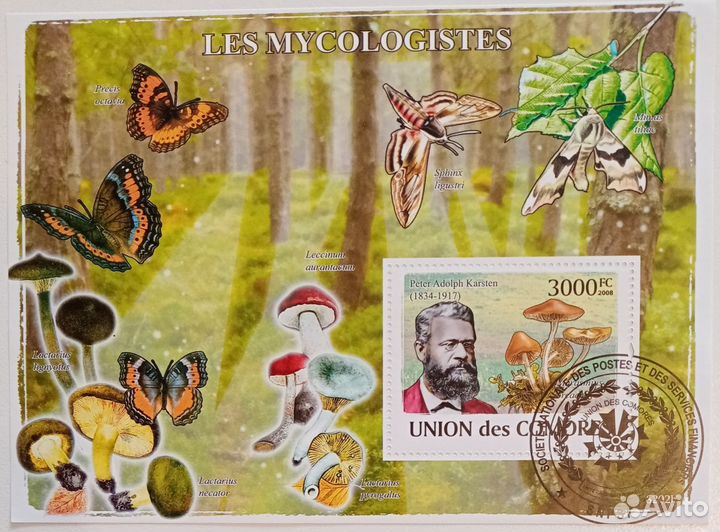 Марки Грибы все вместе