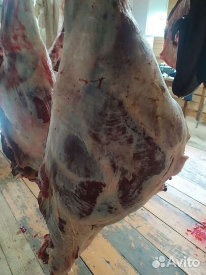 Мясо говядины молодняк деревенское