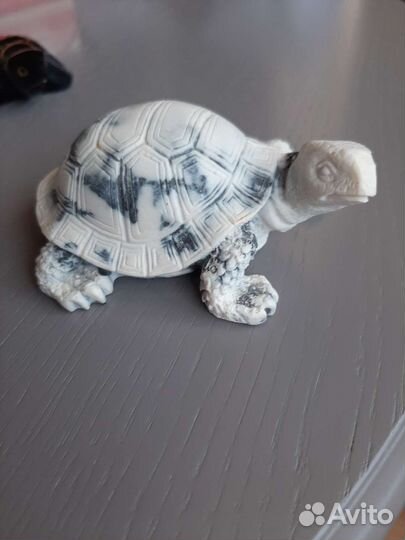 Черепаха в коллекцию