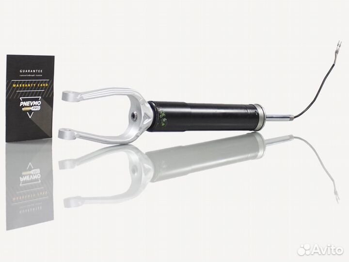 Амортизатор Audi R8 (4S) задний под пружину