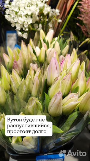 Тюльпаны с оформлением