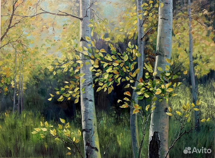 Картина маслом пейзаж Березы