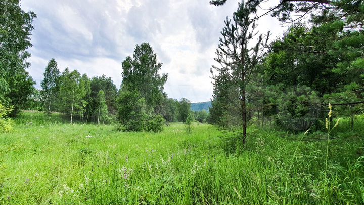 Участок 21,5 сот. (СНТ, ДНП)