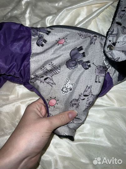 Вещи для маленьких собак