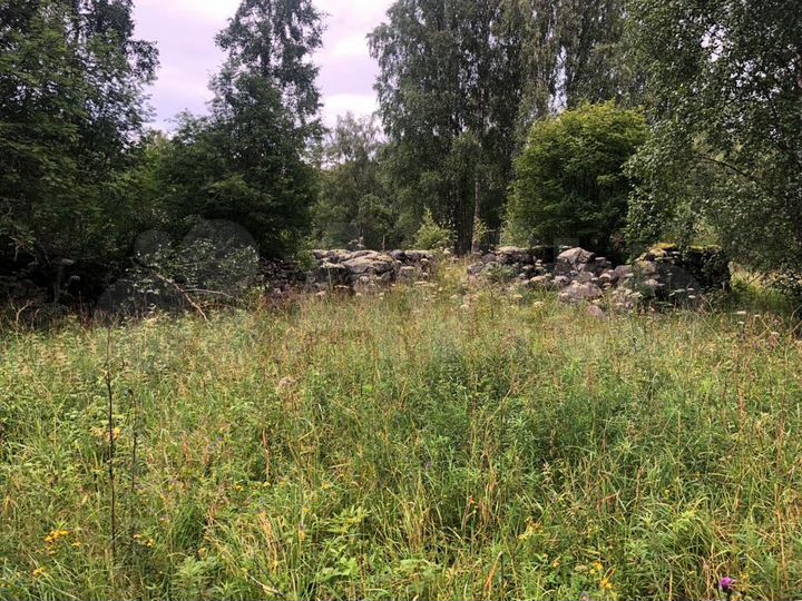 Участок 1,7 га (СНТ, ДНП)