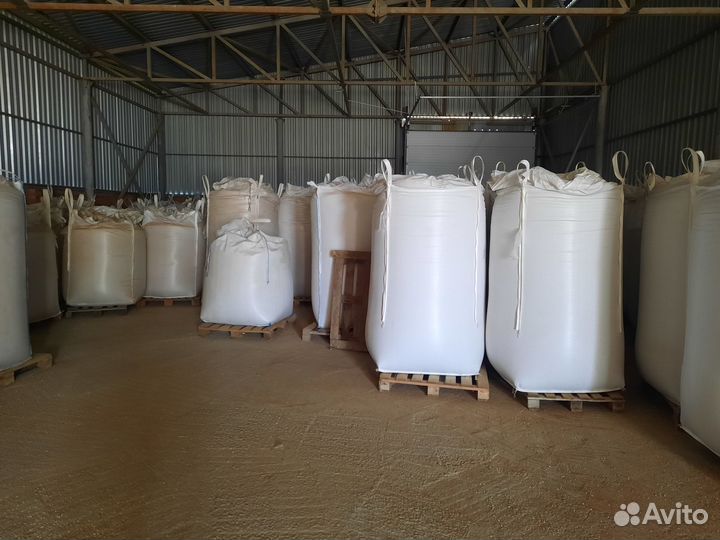 Горчица желтая