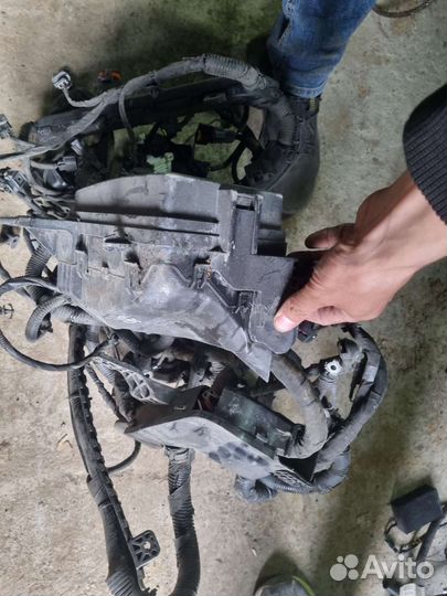 Проводка подкапотная солярис 2 1.4 механика