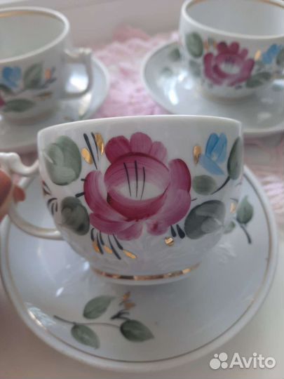 Чайная пара вербилки