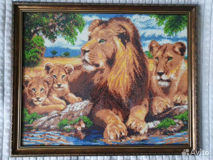 Львиный прайд