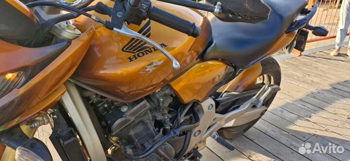 Honda cb 600 hornet