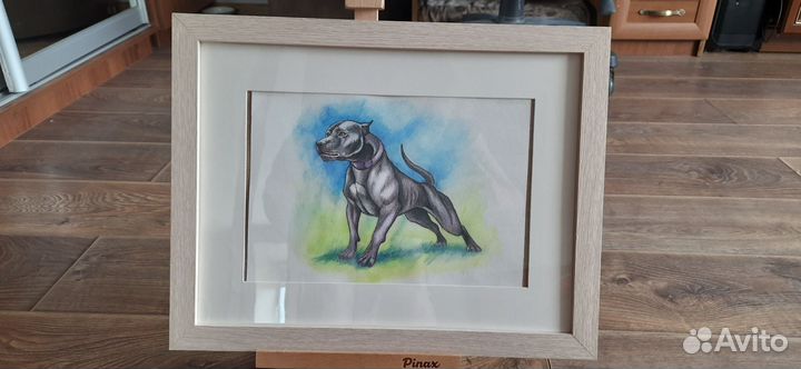 Картина питбуль графика