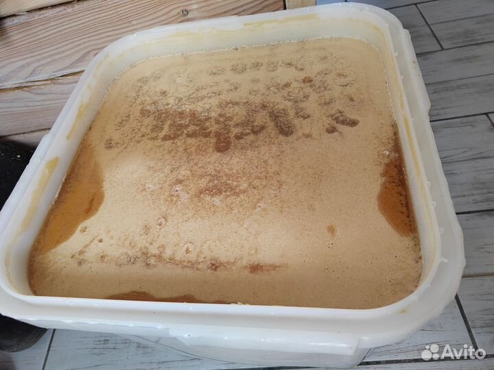 Мёд гречишный алтайский