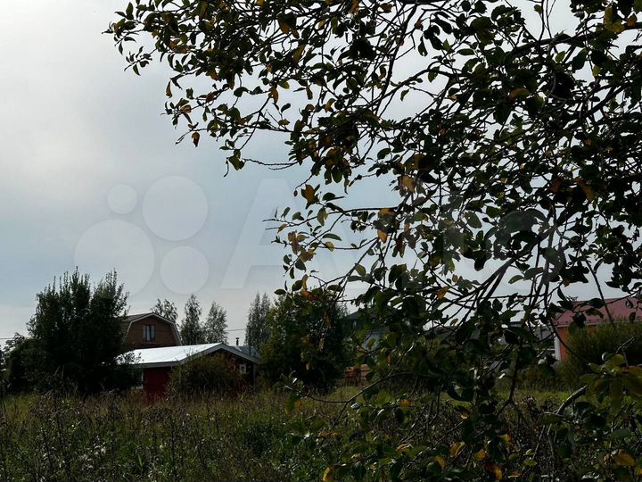 Участок 11,4 сот. (ИЖС)