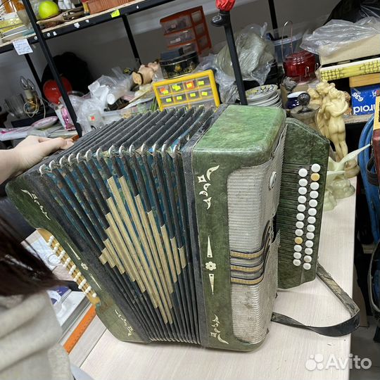 Гармонь Беларусь (сзр)