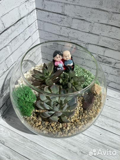 Флорариум с суккулентами