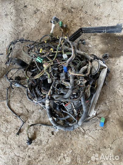 Проводка ford focus 1