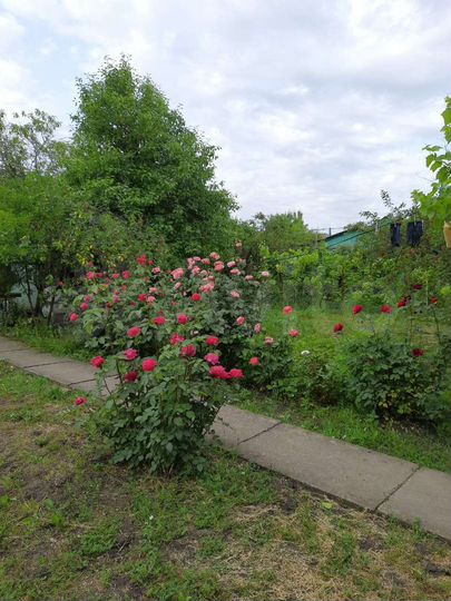 Участок 8,22 га (СНТ, ДНП)