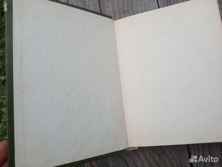 Волшебник Изумрудного города 1987 г худож Даниловы