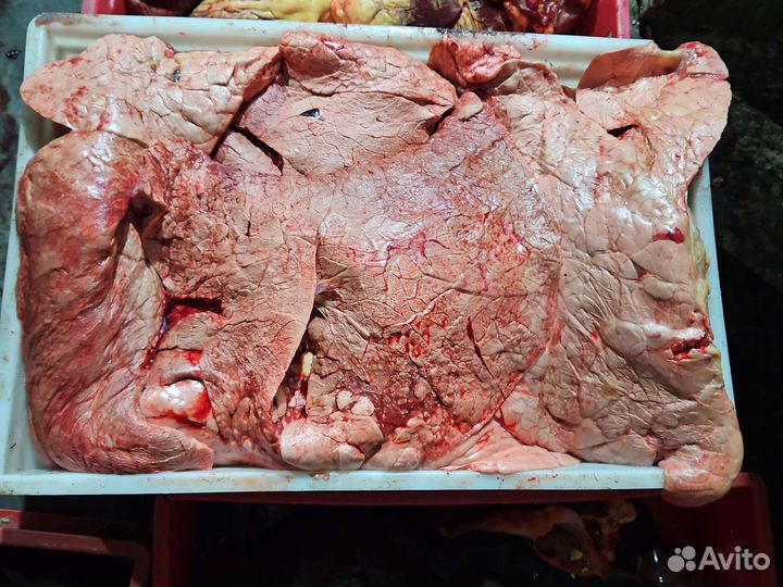 Субпродукты говяжьи