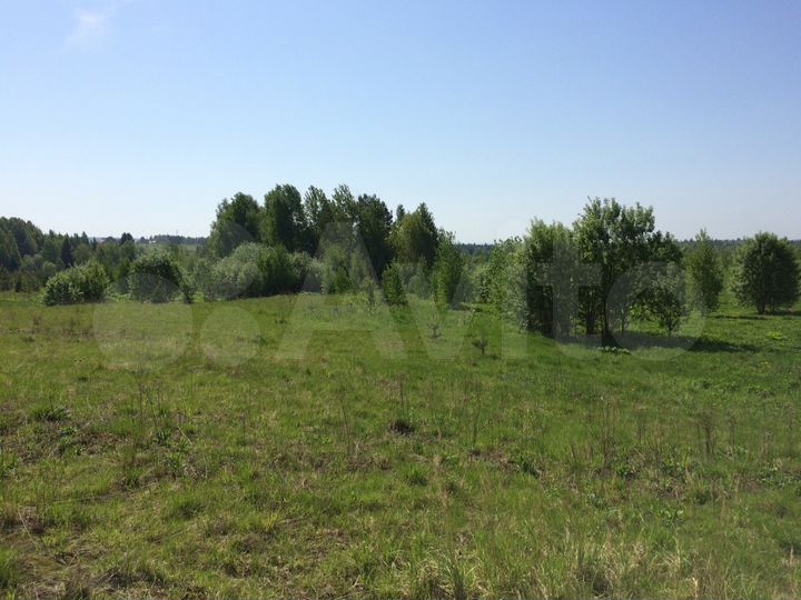 Участок 12 сот. (СНТ, ДНП)