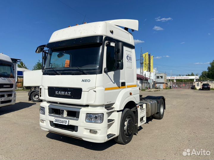 КамАЗ 5490 NEO, 2017