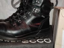 ecco track 6