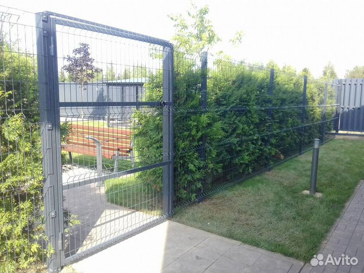 Забор бюджетный