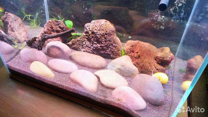 Аквариум (комплект)