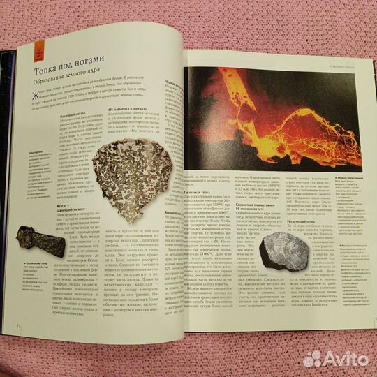 Иллюстрированный атлас эволюции