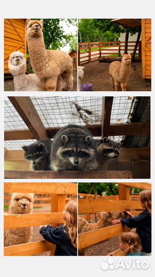 Скидка 30 процентов на входной билет