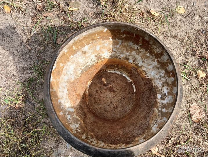 Чугунок большой