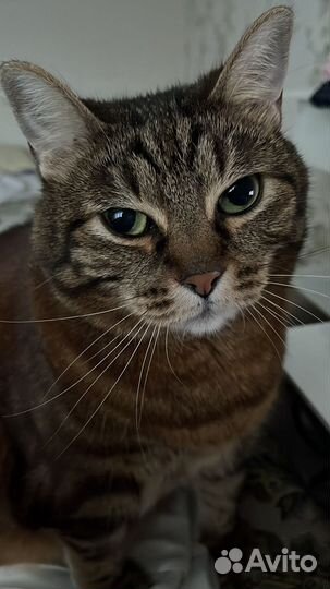 Видеооператор видеограф видеосъемка