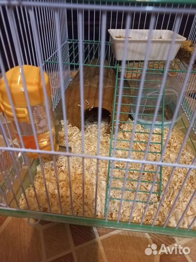 Клетка для грызунов