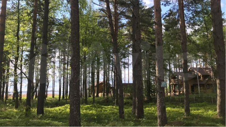 Участок 40 сот. (СНТ, ДНП)