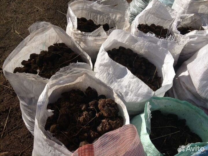 Навоз с доставкой