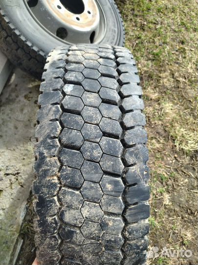 Колеса на газон next