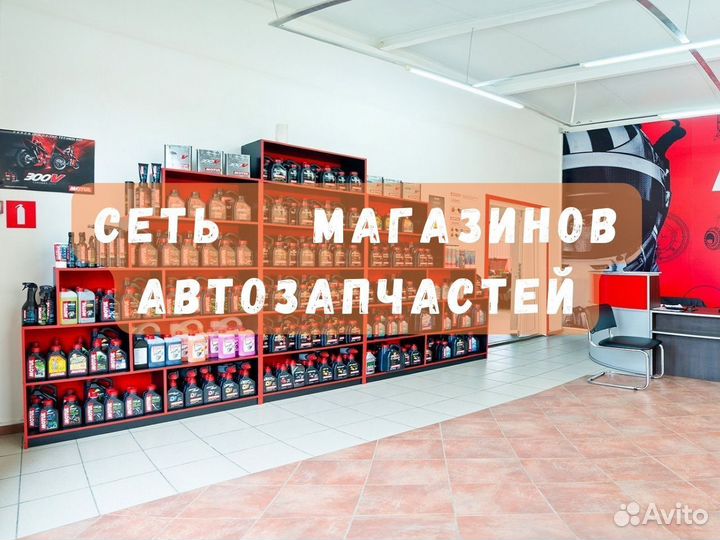 Успешная Франшиза 2023
