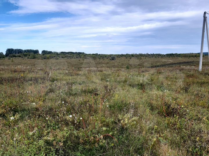 Участок 30 сот. (ИЖС)