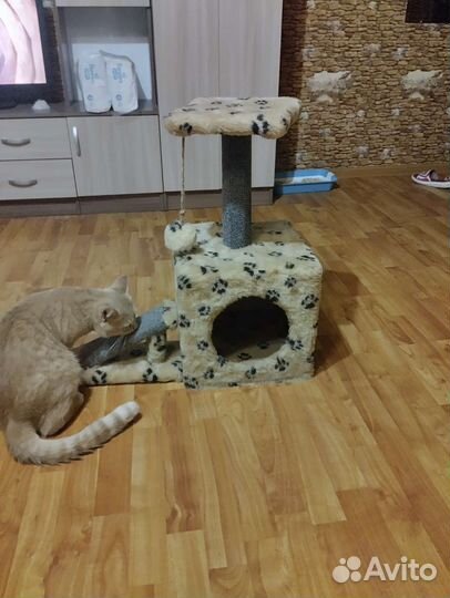 Домик лежанка для кошки и собаки