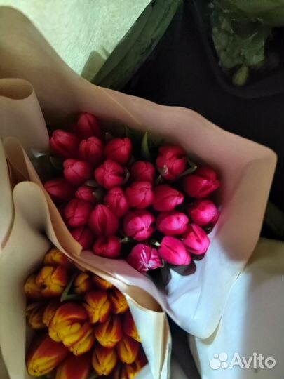 Тюльпаны 8 марта