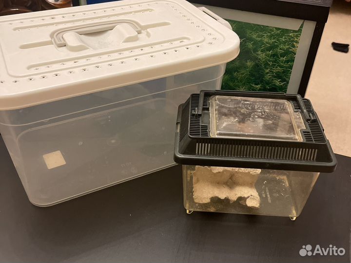 Террариум Repti Zoo готовый