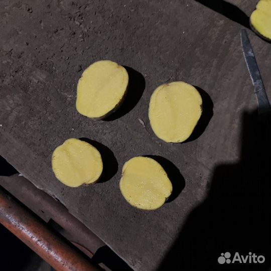Картофель