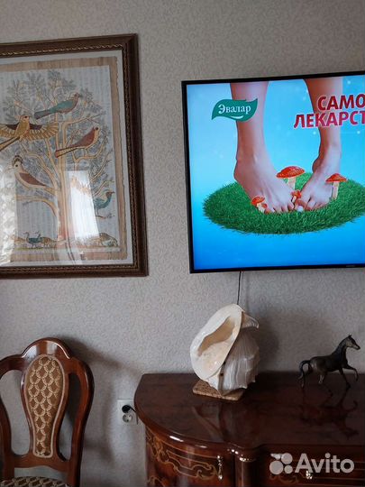 Большая морская раковина