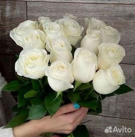 Розы гиганты 140 150 160 170 180 200