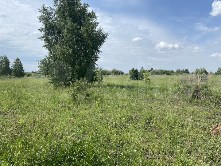 Участок 6 сот. (ИЖС)