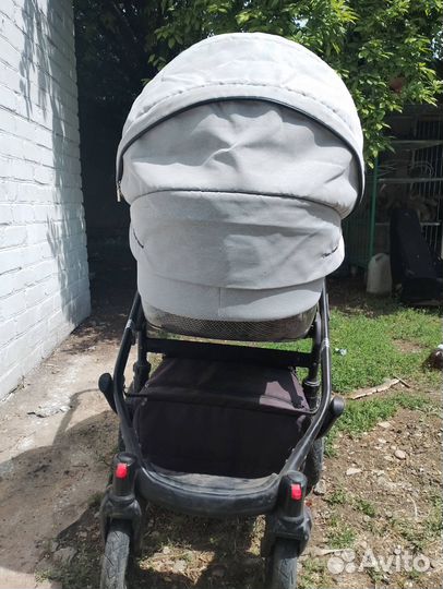 Коляска coletto