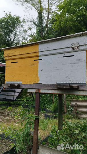 Ульи для пчел (лежак на две пчелосемьи)