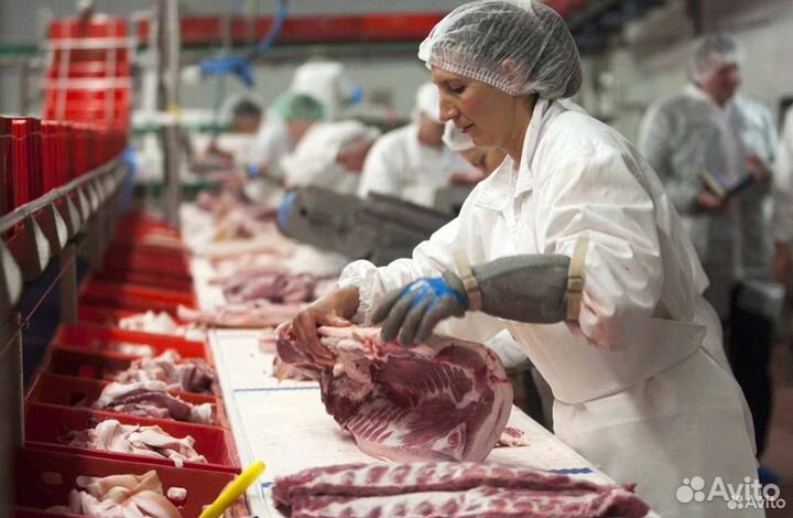 Инвестиции в действующий бизнес, доход 126 тр/мес