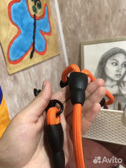 Поводок для маленьких собак